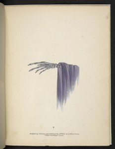 Plaka 8. İskelet bir el.  spektropi; veya, Her yerde ve herhangi bir renkte hayaletler gösteren şaşırtıcı spektral yanılsamalar vb. ser. 1.  J.H. Kahverengi  1864 by American School