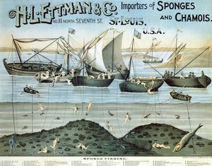 Poster reklamı H.L. Ettman & Co., Sünger ve Güderi İthalatçıları, 1897