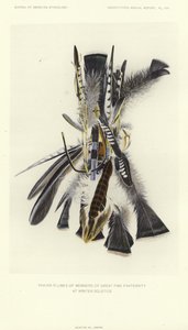  by American School