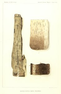 Kutsal Huş Kabuğu Kayıtları by American School