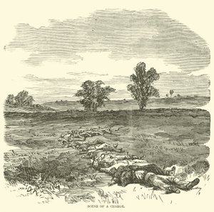 Bir suçlama sahnesi, Eylül 1862 by American School