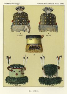 Sia maskeleri by American School