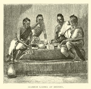 Akşam yemeğinde Siyam bayanlar by American School