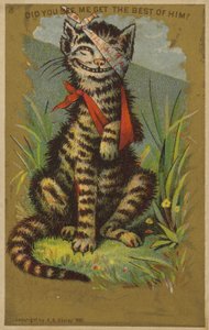 Yaralı Sırıtan Kedi by American School