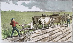 Amerikan Batısının Sodbusters, 1880 dolayları (renkli gravür) by American School