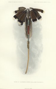  by American School