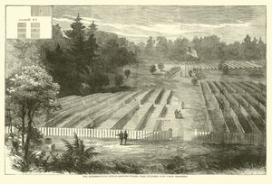 14.000 Birlik mahkumunun defnedildiği Andersonville mezarlığı, Mayıs 1865 by American School
