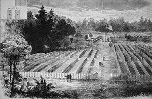 Andersonville
