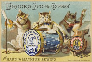 kedi grubu by American School