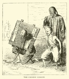 Çin Kongu by American School