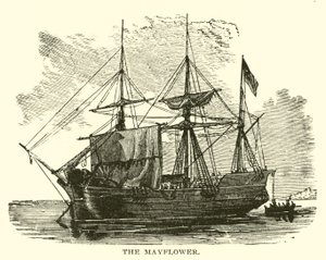 Mayıs Çiçeği by American School