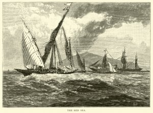 Kızıldeniz by American School