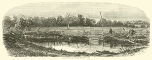 Reynolds