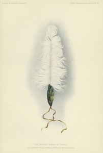  by American School