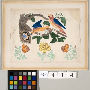 Üç Gül ve Bir Kuş Ailesi by American School