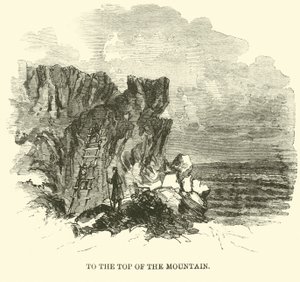 Dağın zirvesine, Kasım 1863 by American School