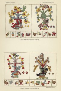 Vatikan Kodeksi by American School