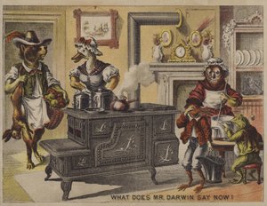 Bay Darwin şimdi ne diyor? (kromolito) by American School