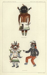 Wukokoti, Kohonino (renkli lito) by American School