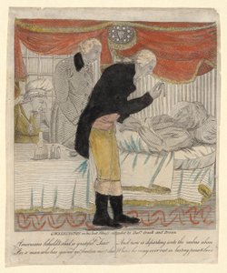 G. Washington, Doktorlar Craik ve Brown