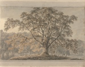 İngiltere, İskoçya ve Galler'deki Görüntüler: Londesbro Park'ta Kül, Mayıs 1800 by Amos Green