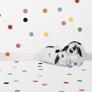 Tavşanlar 05, 2018 (fotoğraf) by Ana Carolina Tavares Mizrahi