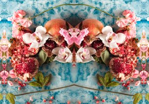 Eve_04, 2016 (Fotoğraf) by Ana Carolina Tavares Mizrahi