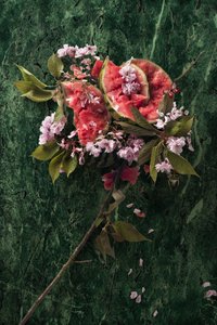 Eve_09, 2016 (Fotoğraf) by Ana Carolina Tavares Mizrahi