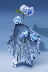 Ikebana 03, 2018 (fotoğraf) by Ana Carolina Tavares Mizrahi