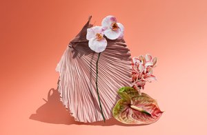 Ikebana 06, 2018 (fotoğraf)