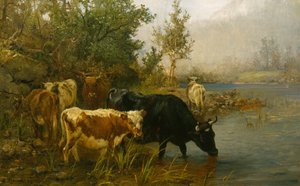  by Anders Askevold