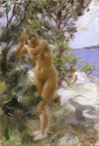 Banyodan Sonra by Anders Leonard Zorn