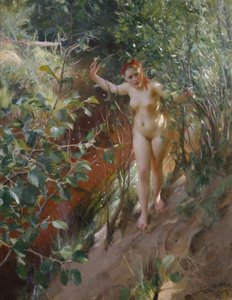Kırmızı kum by Anders Leonard Zorn