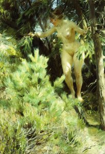 Ahşap-Sprite, 1892 by Anders Leonard Zorn