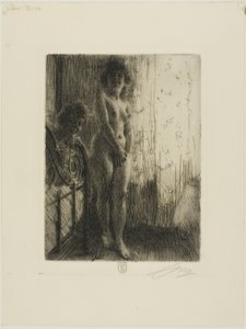 Karanlık Bir Köşe by Anders Leonard Zorn