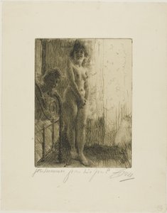 Karanlık Bir Köşe by Anders Leonard Zorn