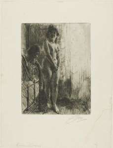 Karanlık Bir Köşe by Anders Leonard Zorn