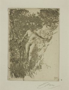 çalı by Anders Leonard Zorn