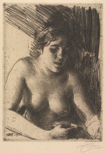 Baskın yapmak by Anders Leonard Zorn