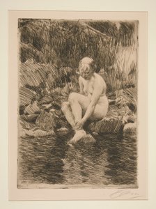 Dağmar by Anders Leonard Zorn