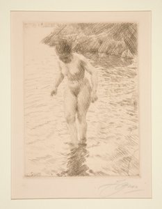 dolar by Anders Leonard Zorn