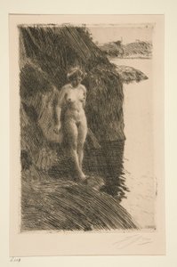 Özellikle by Anders Leonard Zorn