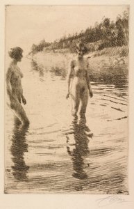 Sığ by Anders Leonard Zorn