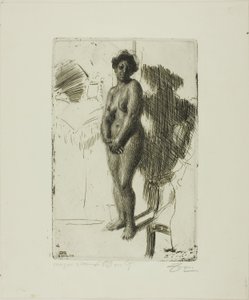 Siyah Ayakta by Anders Leonard Zorn