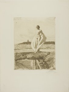 Kuğu by Anders Leonard Zorn
