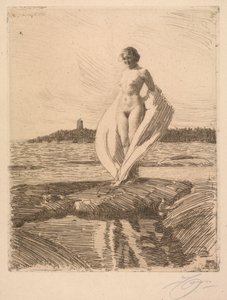 Kuğu by Anders Leonard Zorn