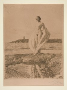 Kuğu by Anders Leonard Zorn