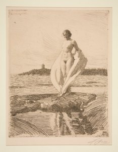 Kuğu by Anders Leonard Zorn
