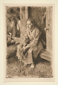 proteinli by Anders Leonard Zorn