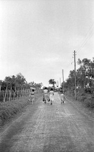 ACI ÜZÜM - ATANAN GÖREV YERİNE DOĞRU by Ando Gilardi